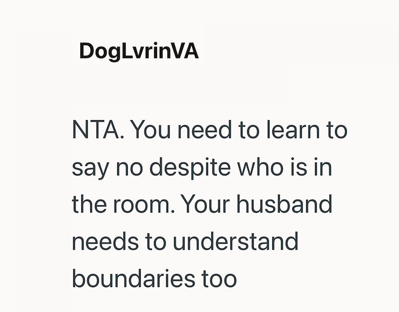 DogLvrinVA NTA. You need to learn to say no despite who is in the room. Your husband needs to understand boundaries too