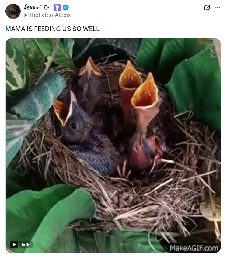 (exxx. C. @TheFateofAlexis MAMA IS FEEDING US SO WELL GIF MakeAGIF.com