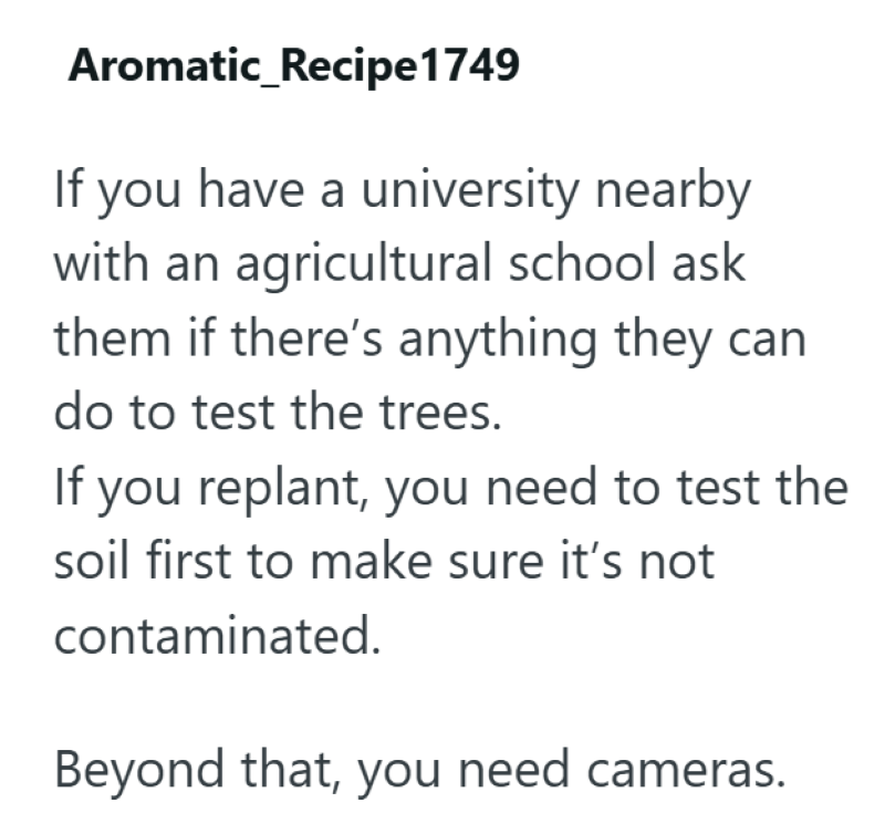 Aromatic_Recipe 1749 If you have a university nearby with an agricultural school ask them if there's anything they can do to test the trees. If you replant, you need to test the soil first to make sure it's not contaminated. Beyond that, you need cameras.