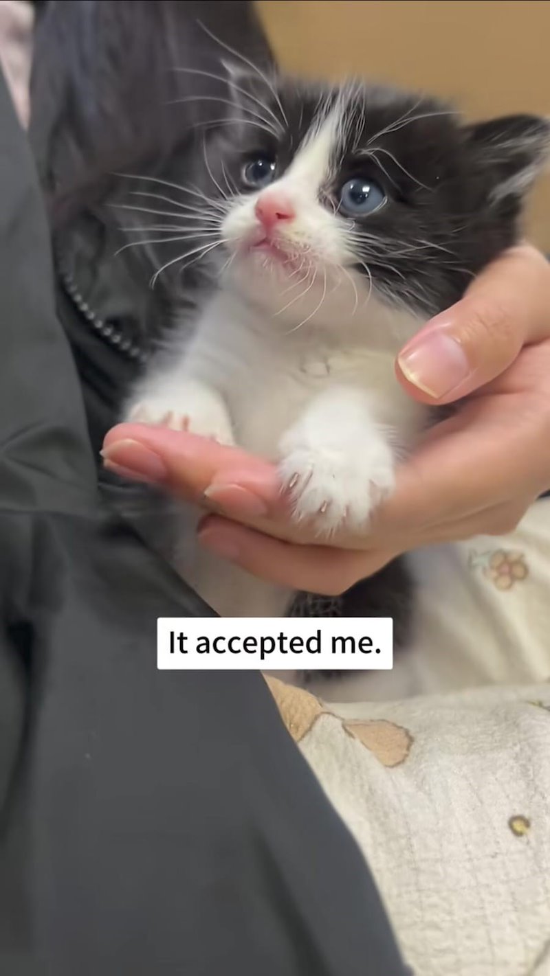 It accepted me.