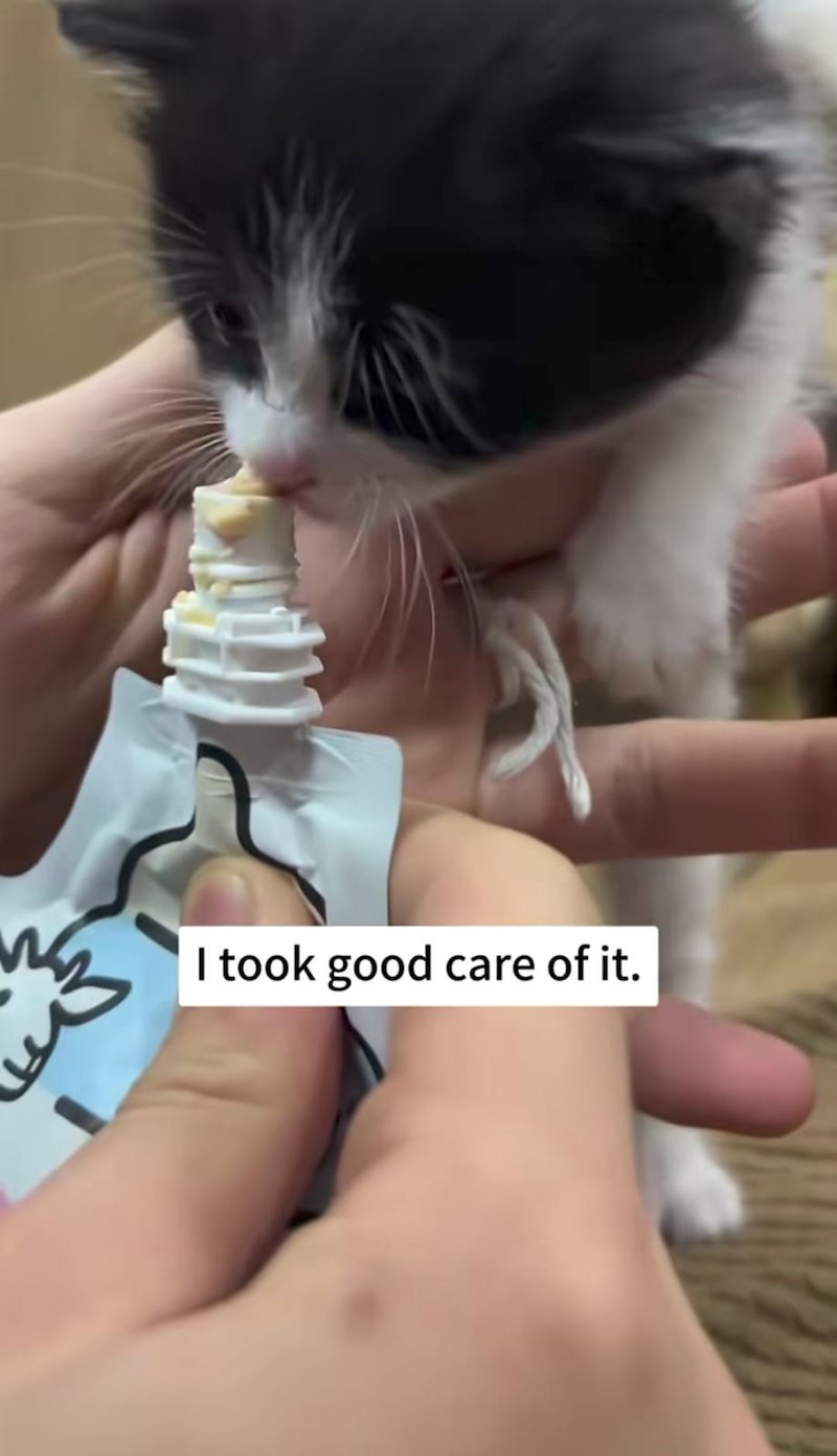 I took good care of it.