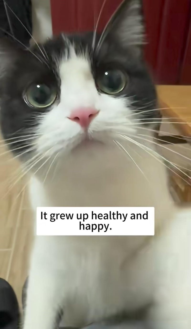 It grew up healthy and happy.