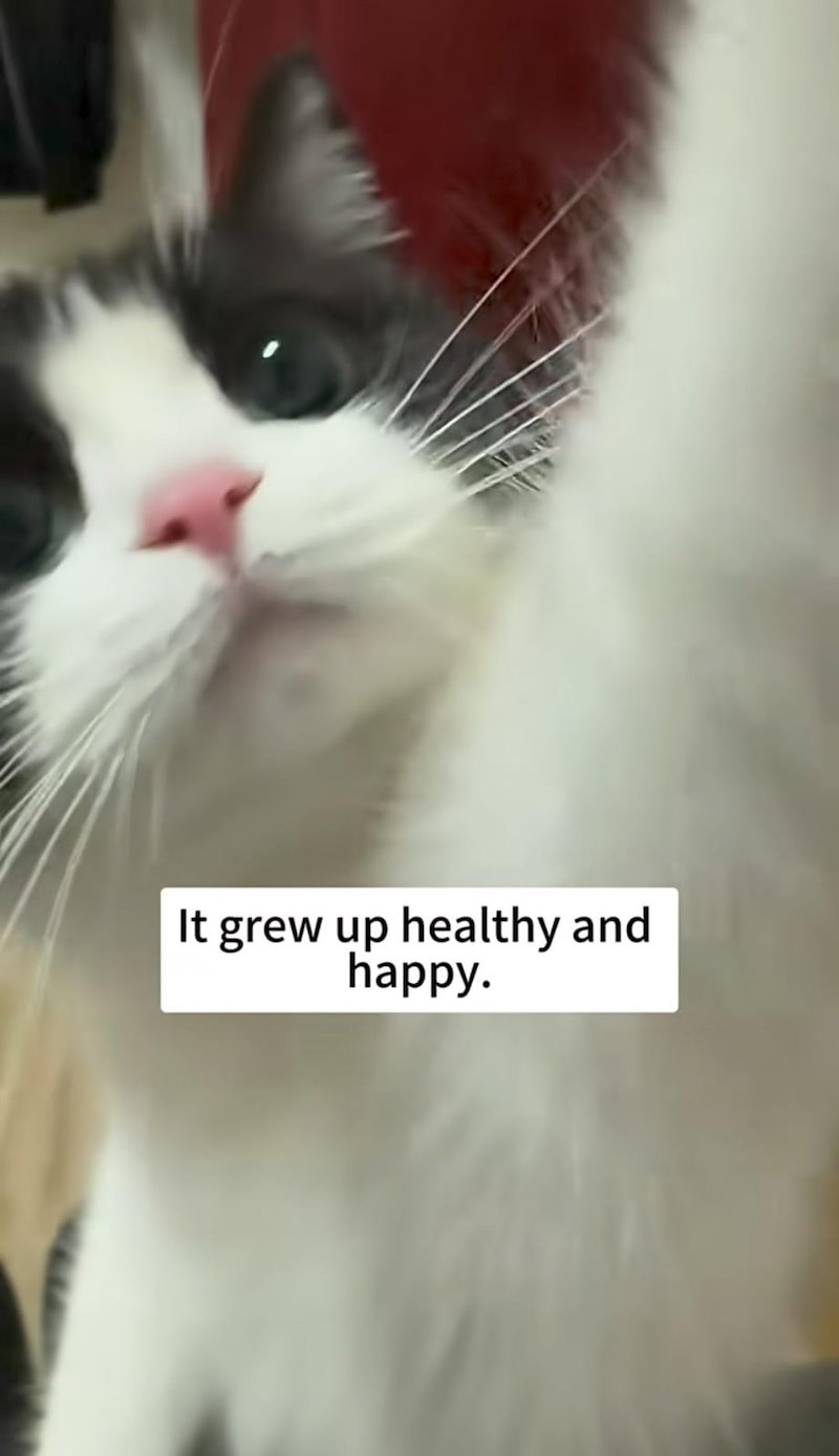 It grew up healthy and happy.