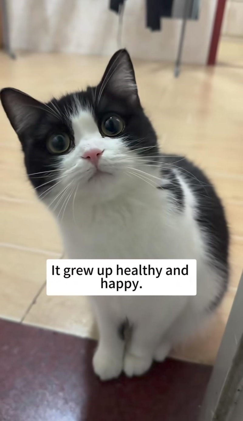It grew up healthy and happy.