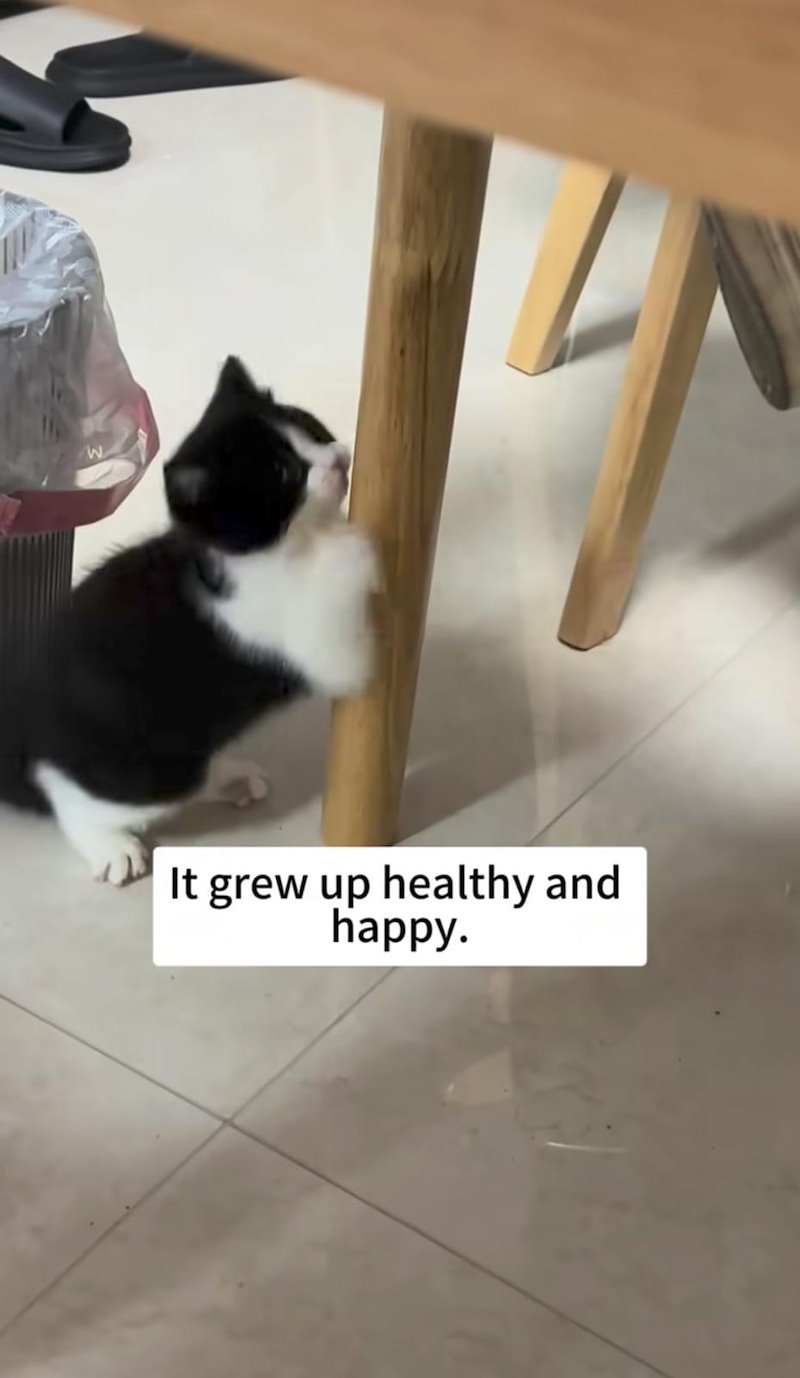 W It grew up healthy and happy.