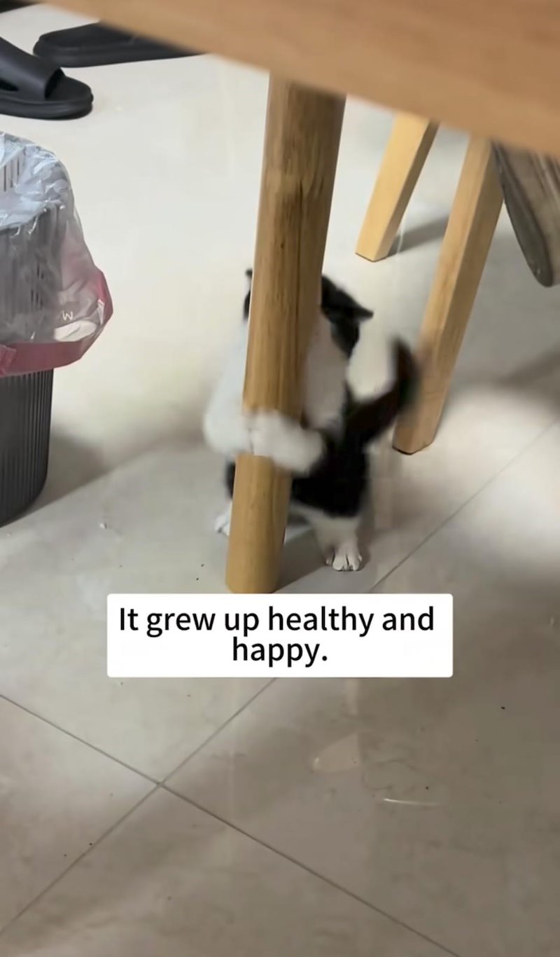 W It grew up healthy and happy.