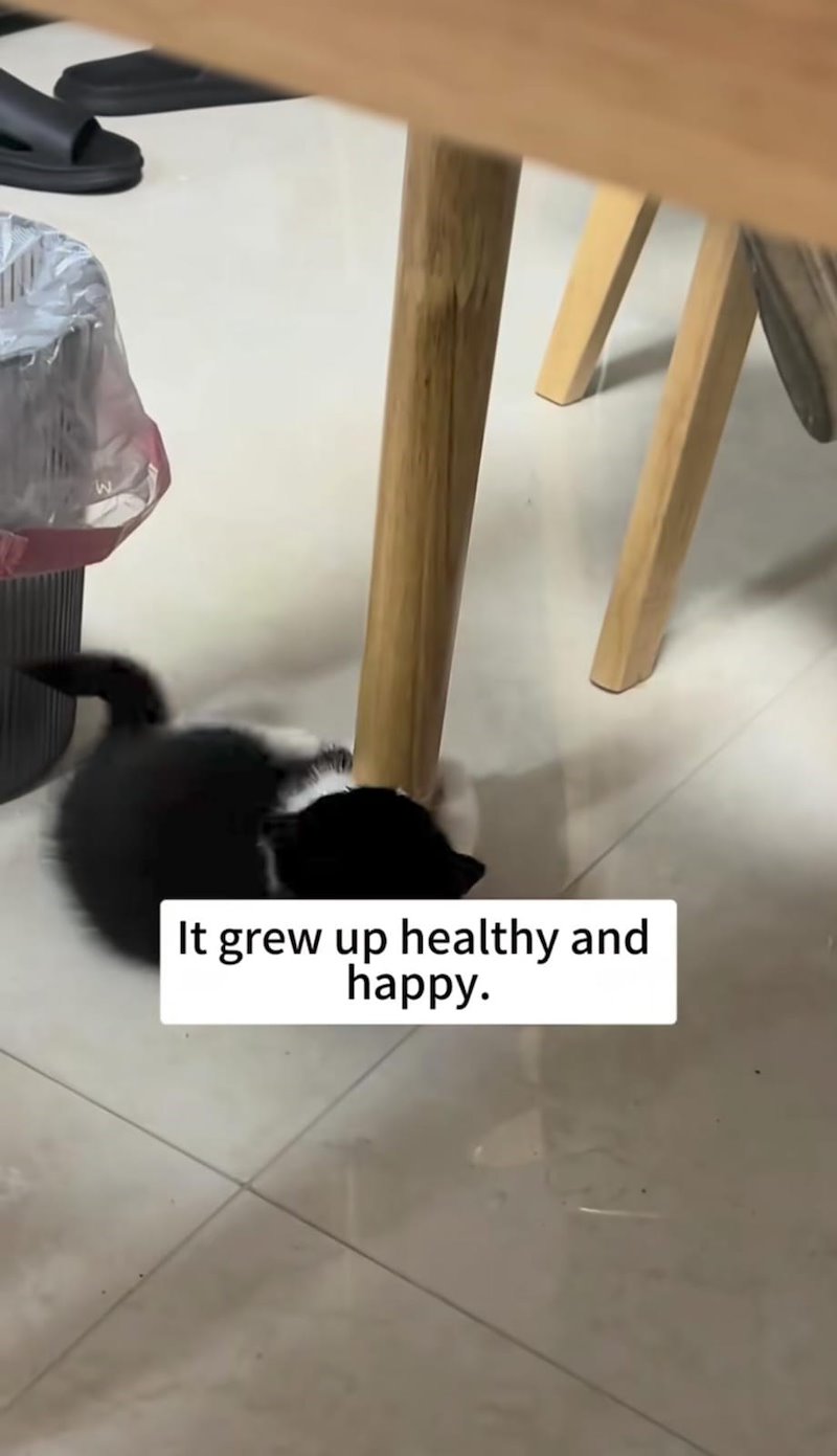 W It grew up healthy and happy.