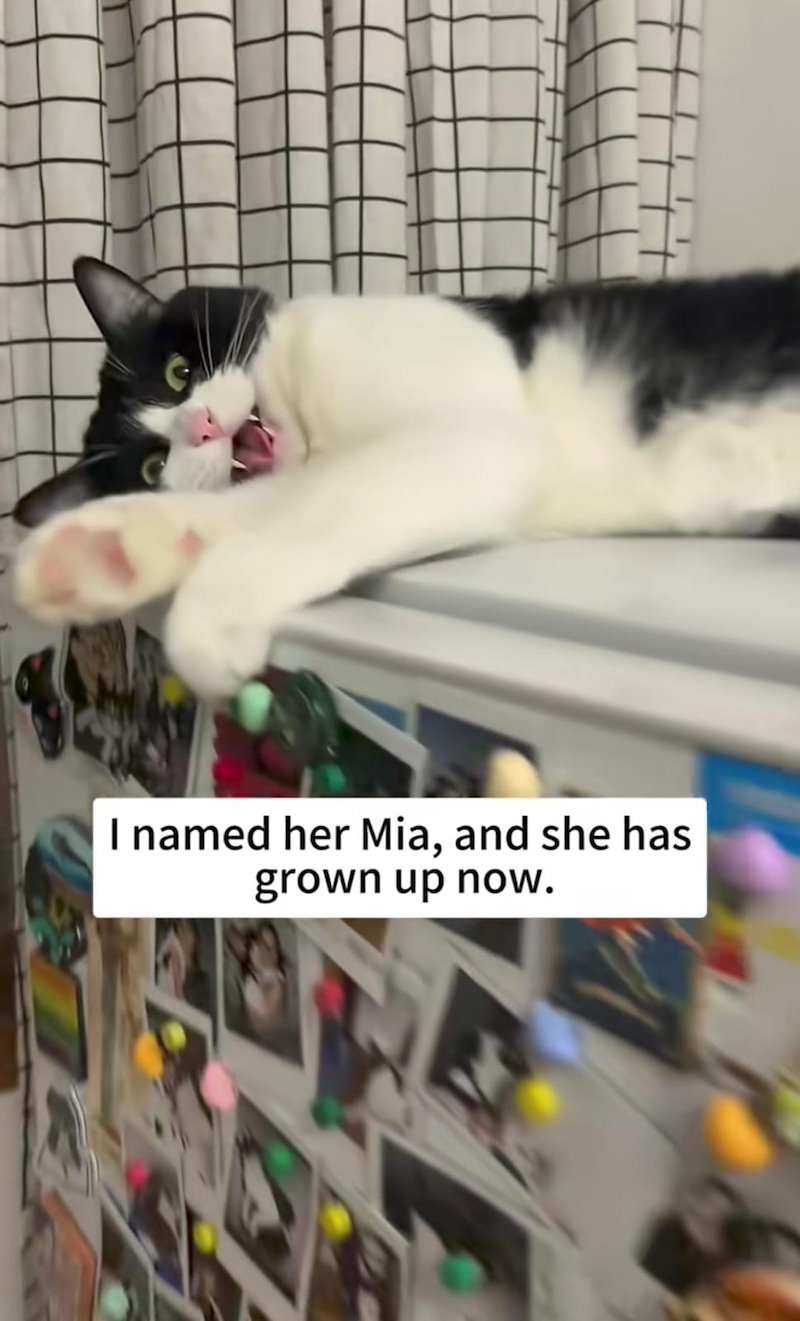 I named her Mia, and she has grown up now.