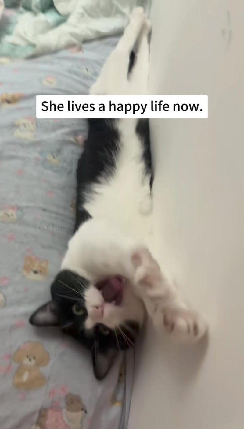 She lives a happy life now.