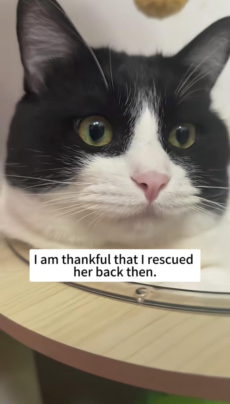 I am thankful that I rescued her back then.