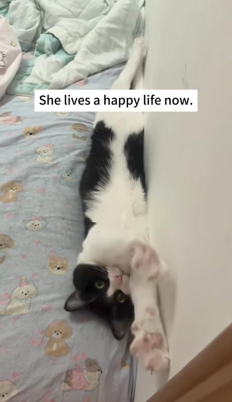 She lives a happy life now.