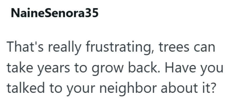 NaineSenora35 That's really frustrating, trees can take years to grow back. Have you talked to your neighbor about it?