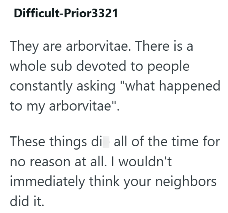 Difficult-Prior3321 They are arborvitae. There is a whole sub devoted to people constantly asking "what happened to my arborvitae". These things di all of the time for no reason at all. I wouldn't immediately think your neighbors did it.