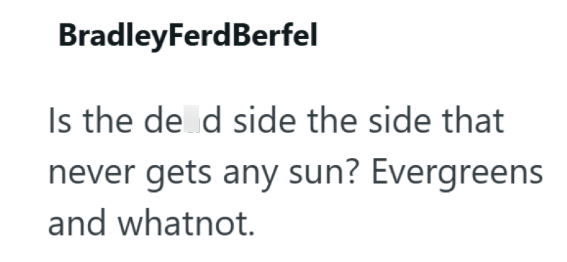 BradleyFerdBerfel Is the de d side the side that never gets any sun? Evergreens and whatnot.
