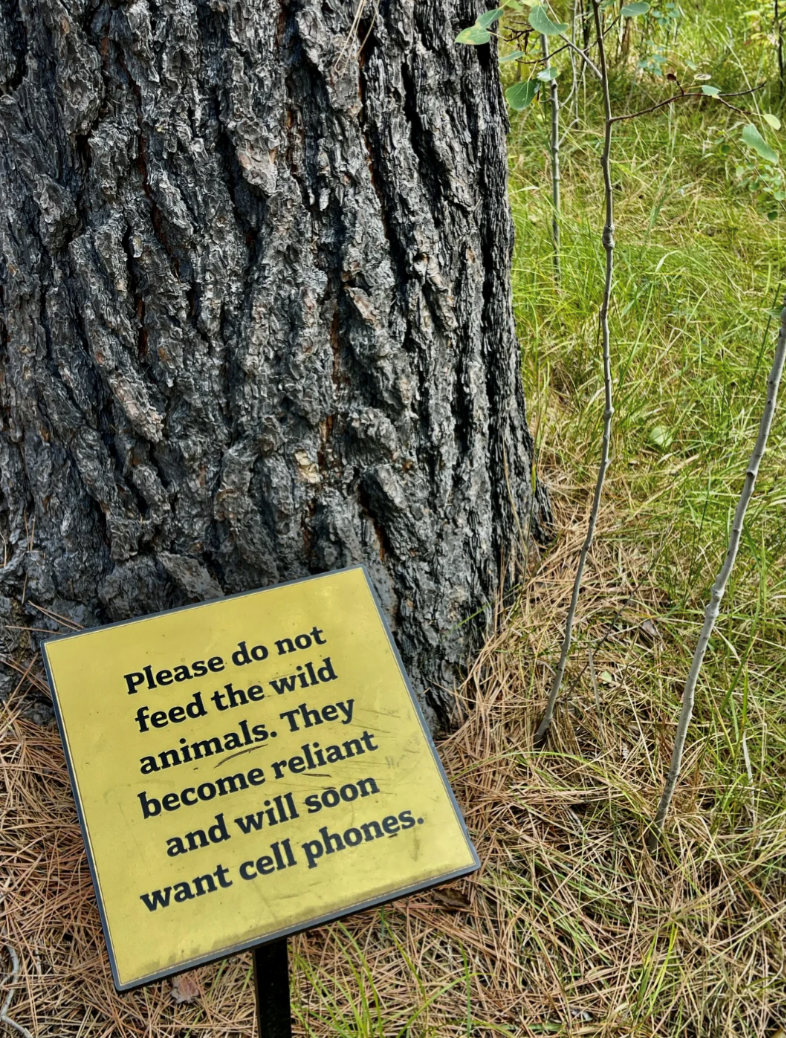 Please do not feed the wild animals. They become reliant and will soon want cell phones.