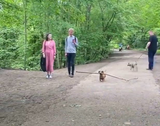 Cheezburger Image 10666123776
