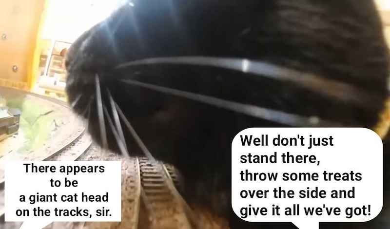 There appears to be a giant cat head on the tracks, sir. Well don't just stand there, throw some treats over the side and give it all we've got!