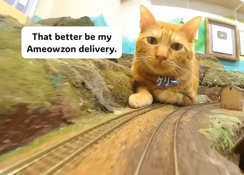 That better be my Ameowzon delivery. ケリー
