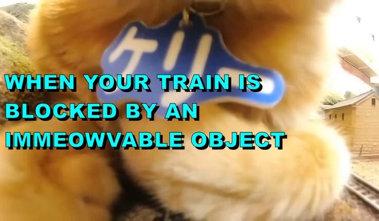 WHEN YOUR TRAIN IS BLOCKED BY AN IMMEOWVABLE OBJECT