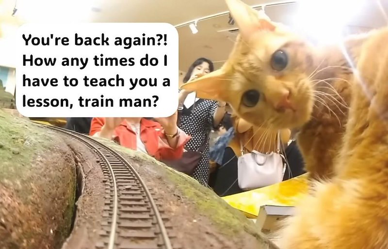 You're back again?! How any times do I have to teach you a lesson, train man?