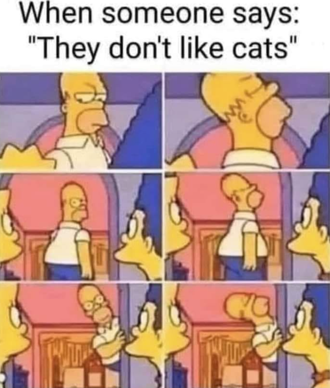 When someone says: "They don't like cats"