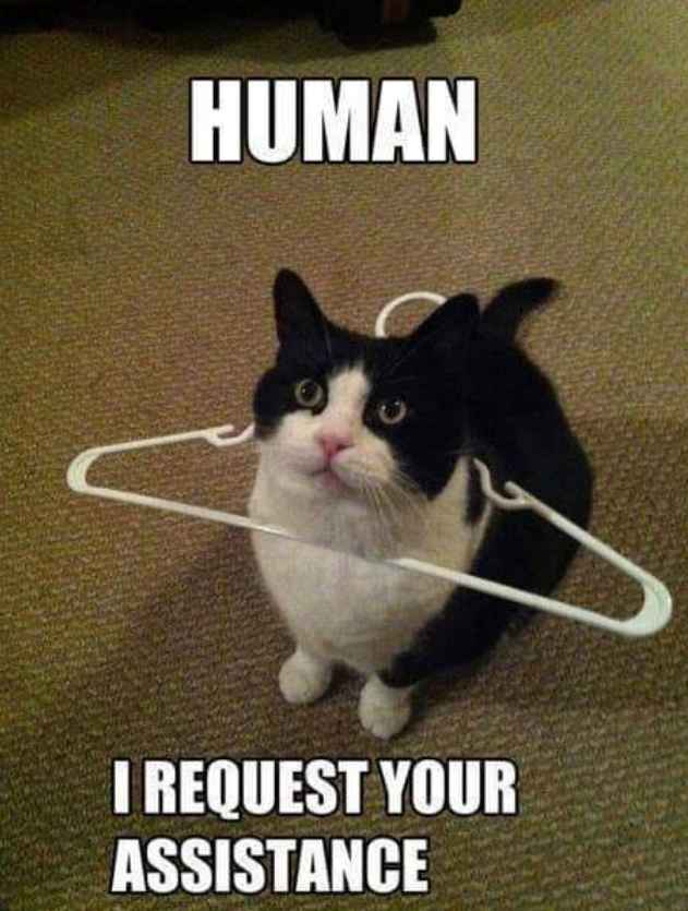 HUMAN I REQUEST YOUR ASSISTANCE
