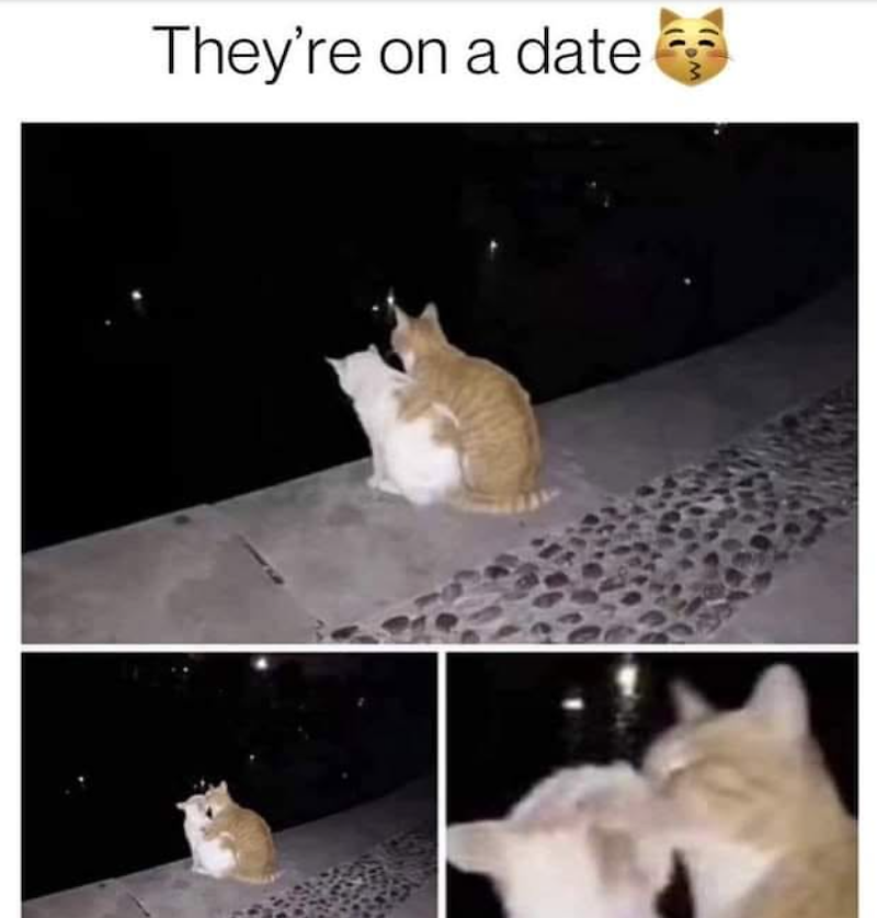 They're on a date