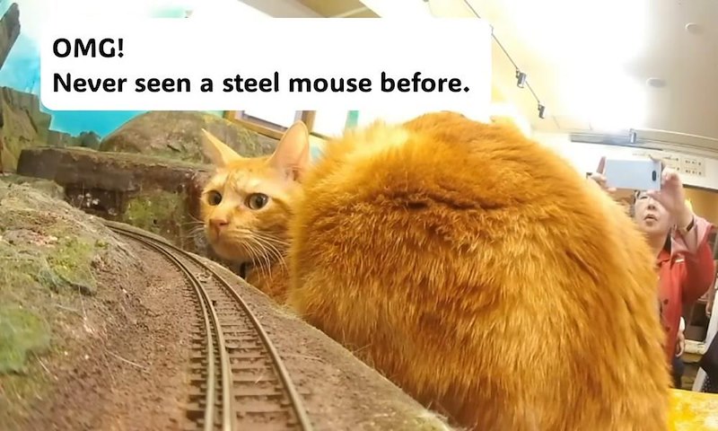 OMG! Never seen a steel mouse before.