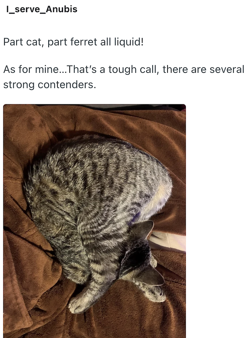 I_serve_Anubis Part cat, part ferret all liquid! As for mine...That's a tough call, there are several strong contenders.