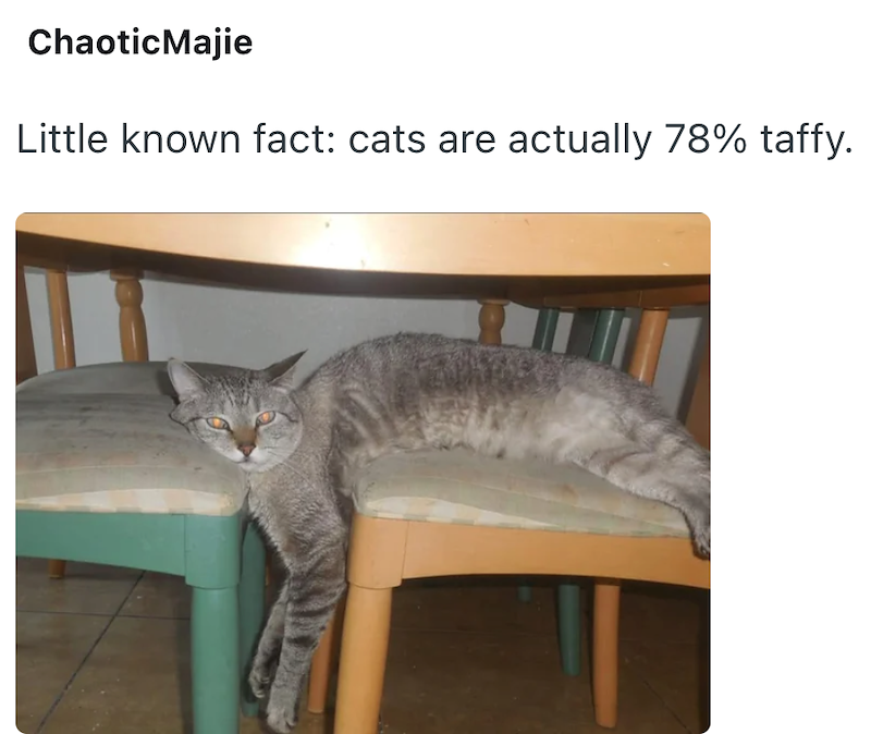 ChaoticMajie Little known fact: cats are actually 78% taffy.