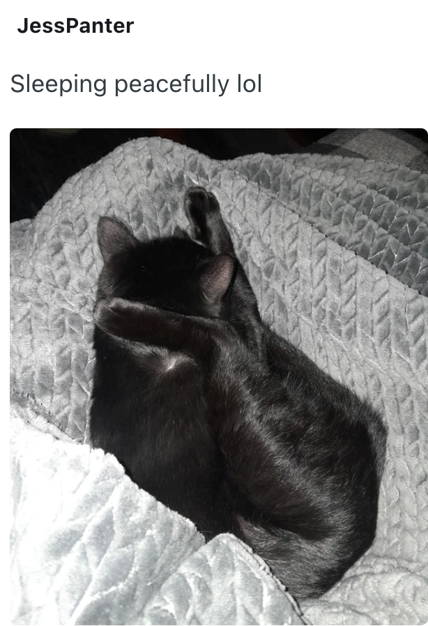 JessPanter Sleeping peacefully lol