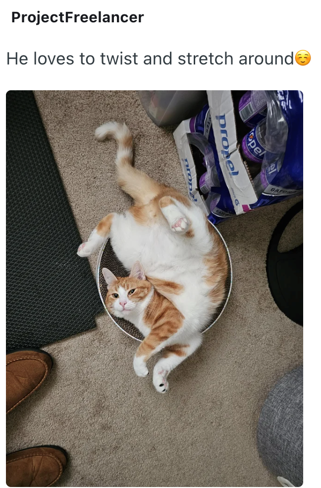 ProjectFreelancer He loves to twist and stretch around propel pel L GA