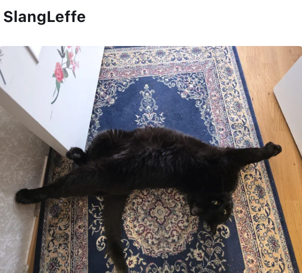 SlangLeffe