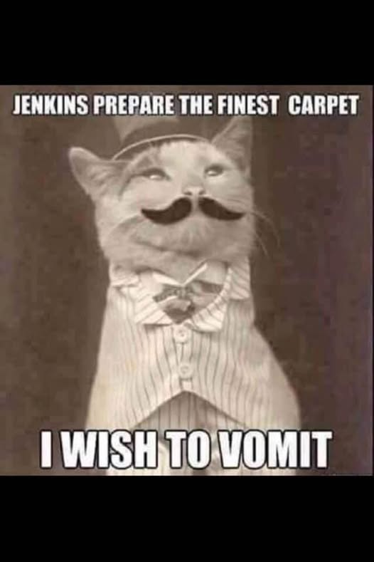 JENKINS PREPARE THE FINEST CARPET I WISH TO VOMIT