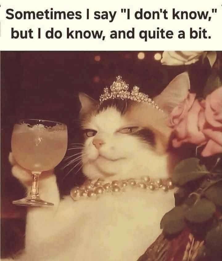 Sometimes I say "I don't know," but I do know, and quite a bit.