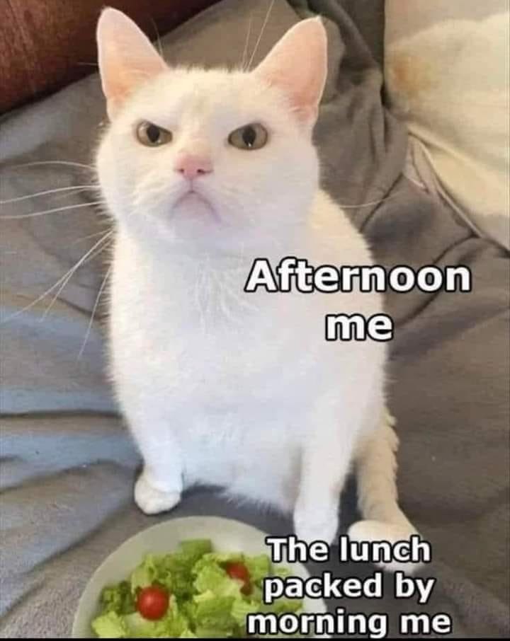 Afternoon me The lunch packed by morning me