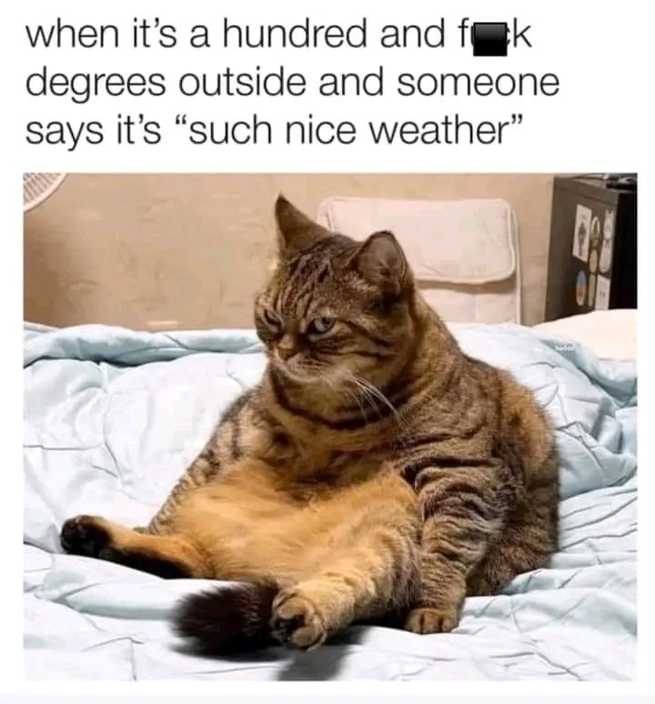 when it's a hundred and f k degrees outside and someone says it's "such nice weather"
