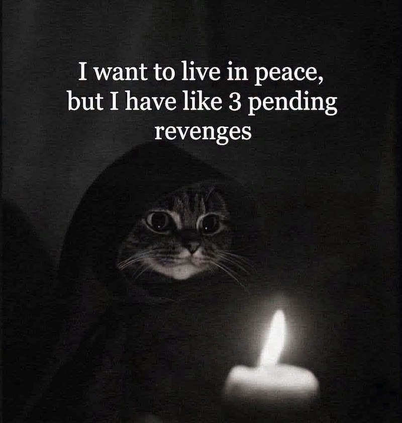 I want to live in peace, but I have like 3 pending revenges