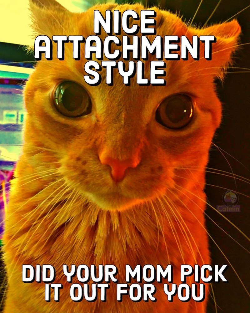 NICE ATTACHMENT STYLE Catmin DID YOUR MOM PICK IT OUT FOR YOU