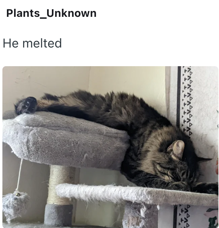 Plants_Unknown He melted