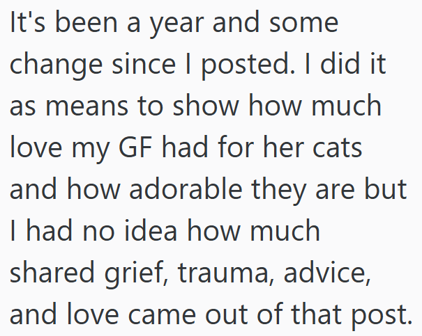 It's been a year and some change since I posted. I did it as means to show how much love my GF had for her cats and how adorable they are but I had no idea how much shared grief, trauma, advice, and love came out of that post.