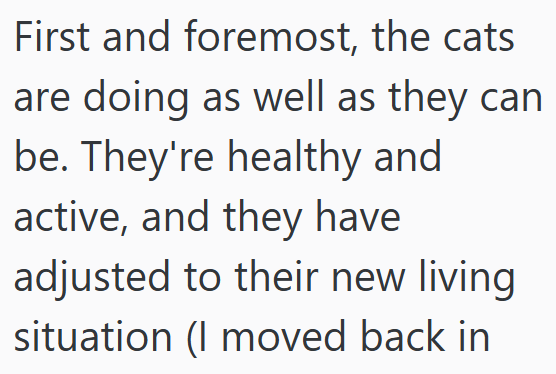 First and foremost, the cats are doing as well as they can be. They're healthy and active, and they have adjusted to their new living situation (I moved back in