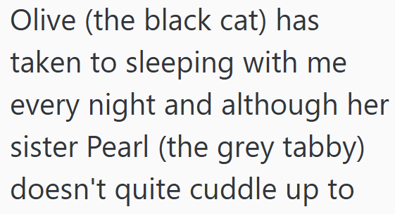 Olive (the black cat) has taken to sleeping with me every night and although her sister Pearl (the grey tabby) doesn't quite cuddle up to