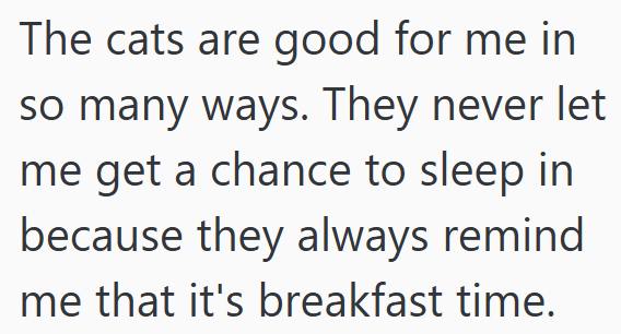 The cats are good for me in so many ways. They never let me get a chance to sleep in because they always remind me that it's breakfast time.