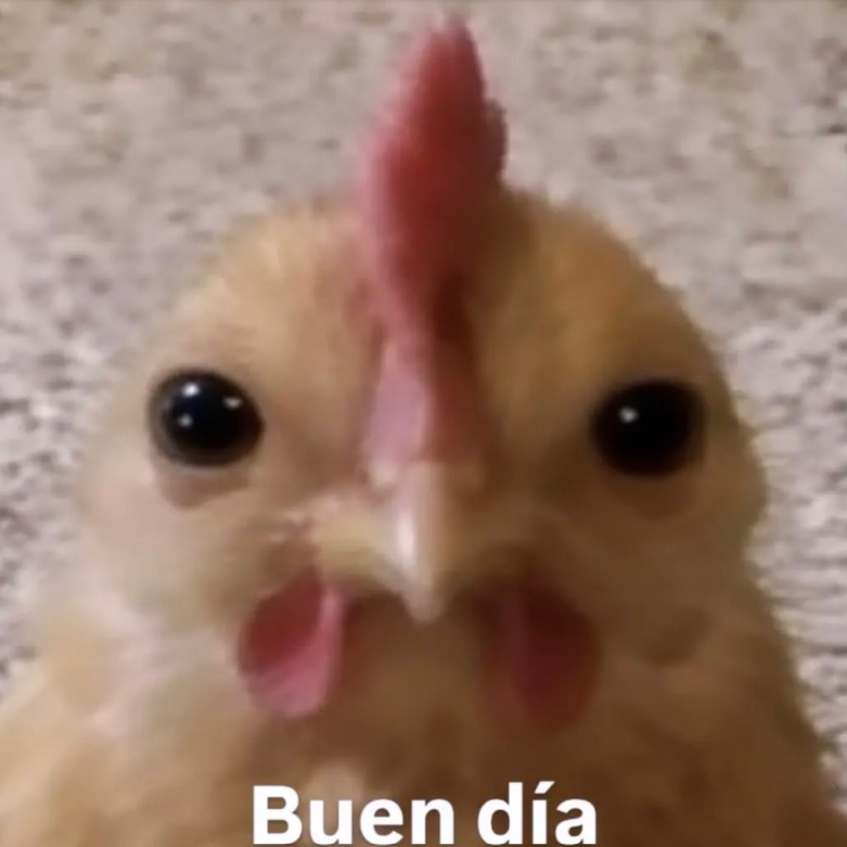 Buen día