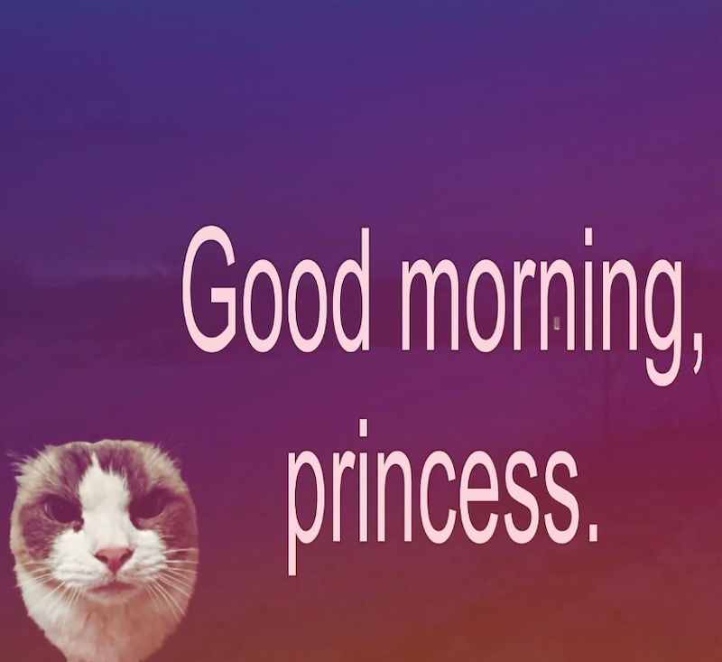 Good morning, princess.