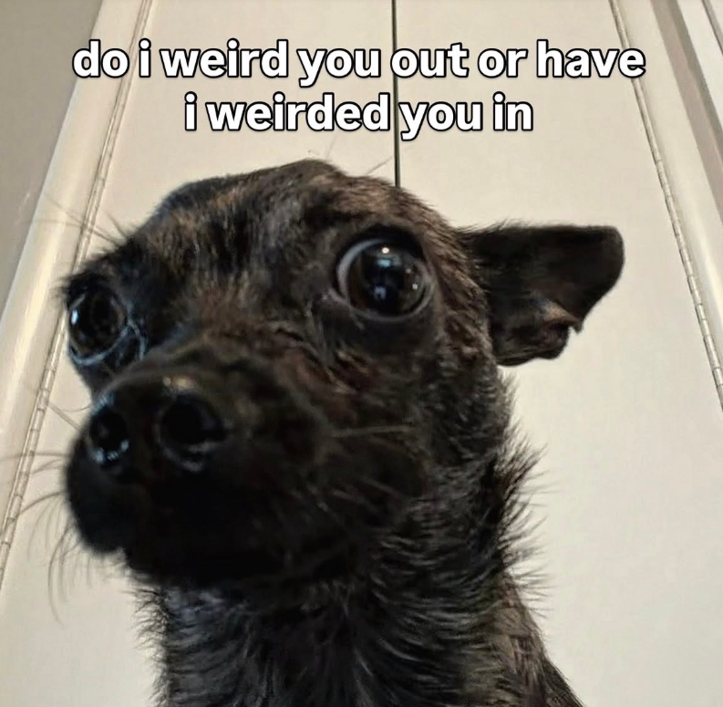 do i weird you out or have i weirded you in