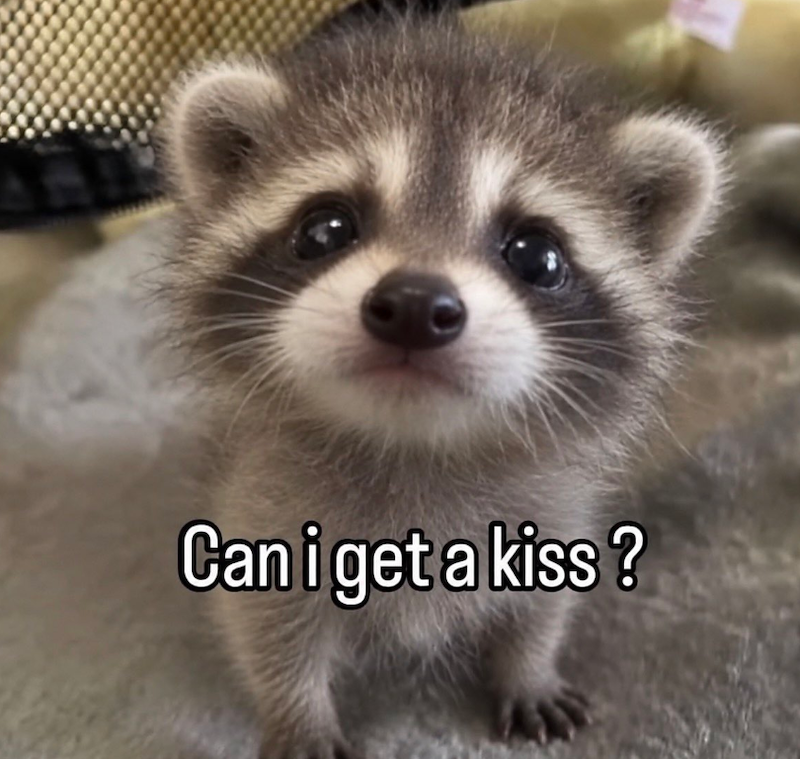Can i get a kiss?