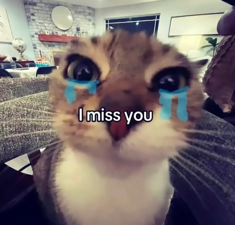 I miss you