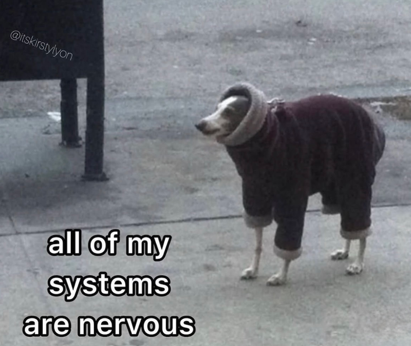 @itskirstylyon all of my systems are nervous